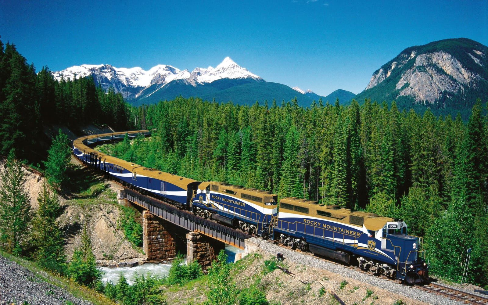 Der Rocky Mountaineer fährt über eine Brücke durch Nadelwald, dahinter schneebedeckte Gipfel der Rocky Mountains